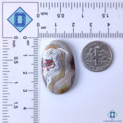 Crazy Lace Agate
