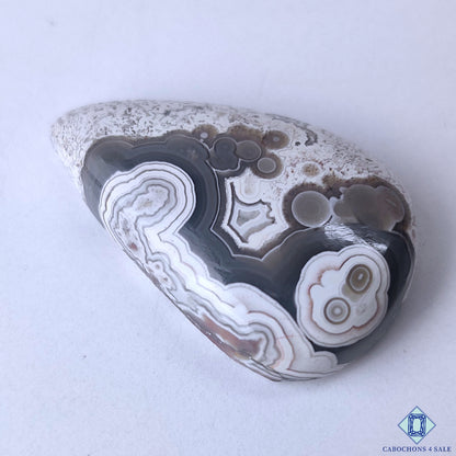 Crazy Lace Agate