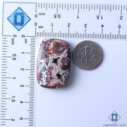 Crazy Lace Agate