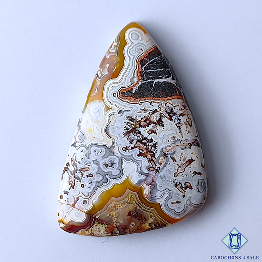 Crazy Lace Agate