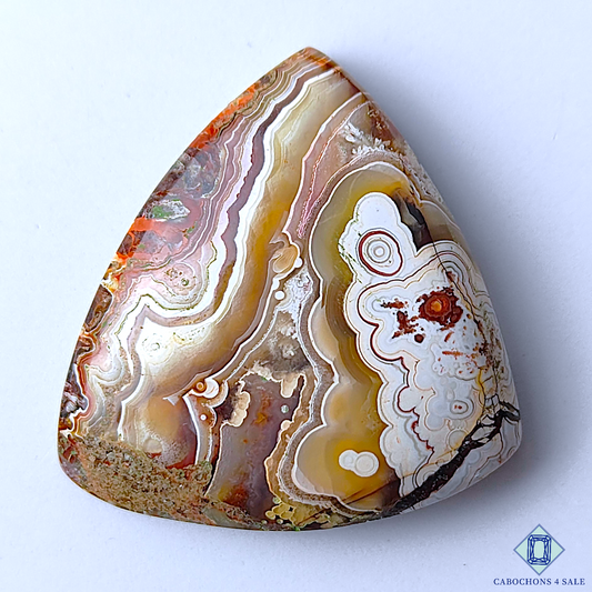 Crazy Lace Agate