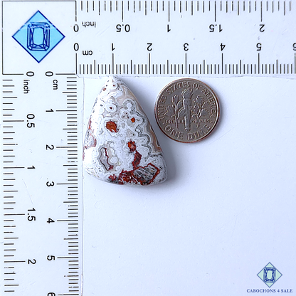 Crazy Lace Agate