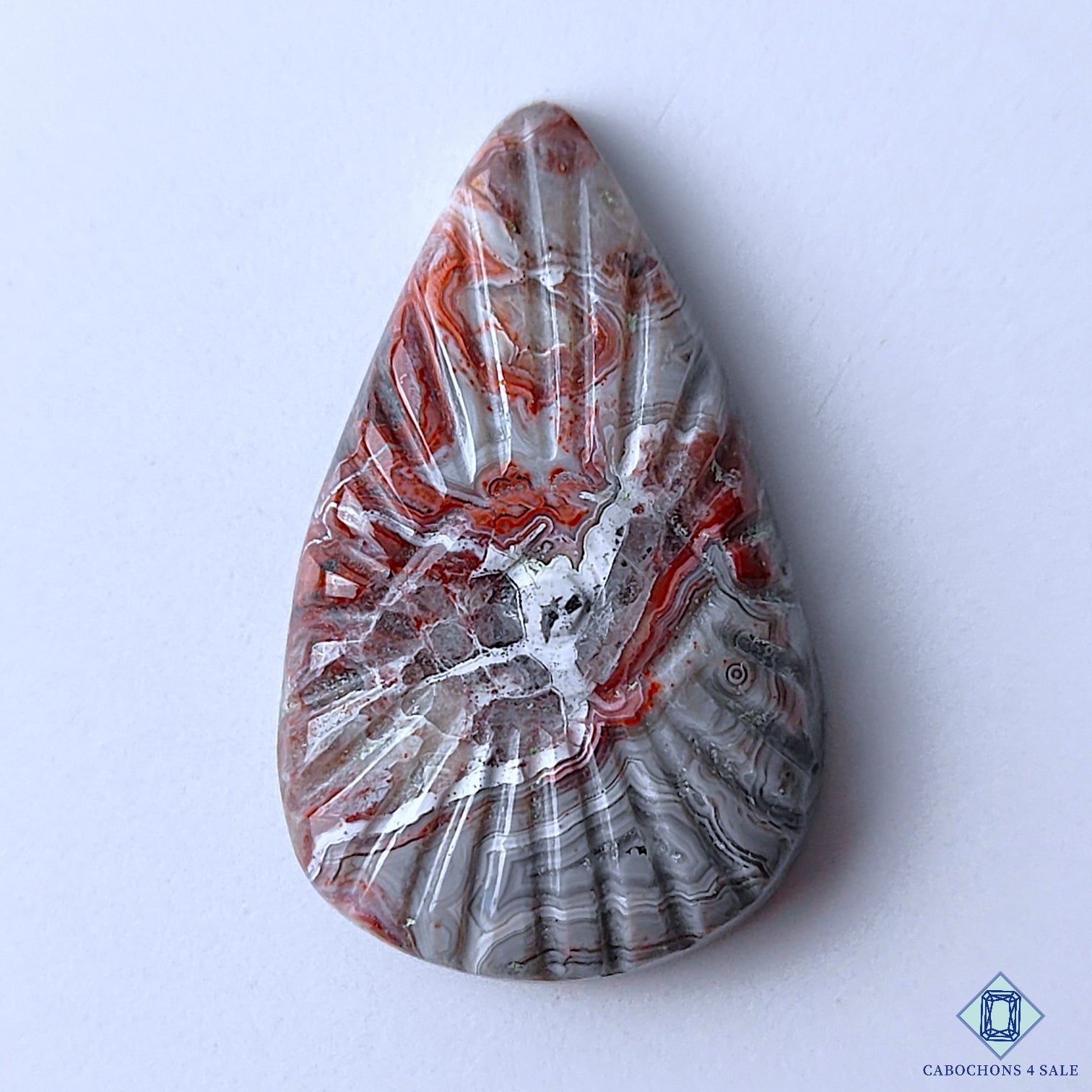 Crazy Lace Agate