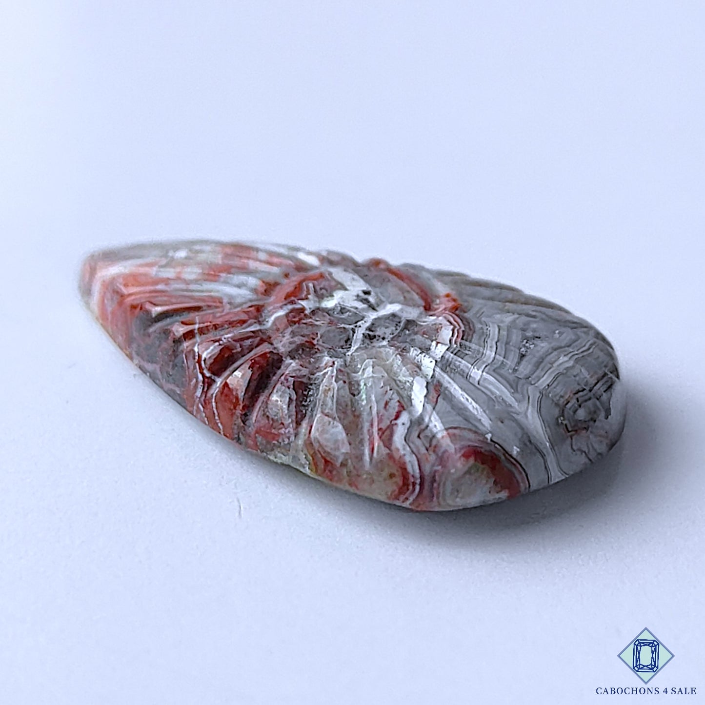 Crazy Lace Agate