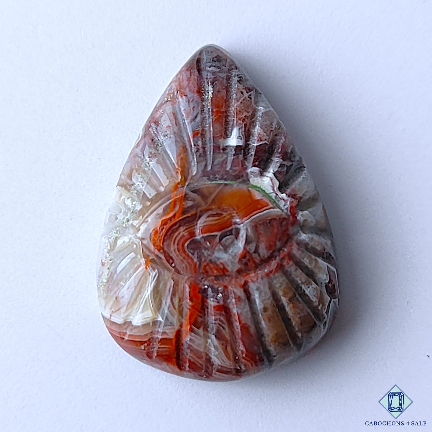 Crazy Lace Agate