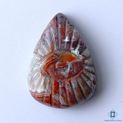 Crazy Lace Agate