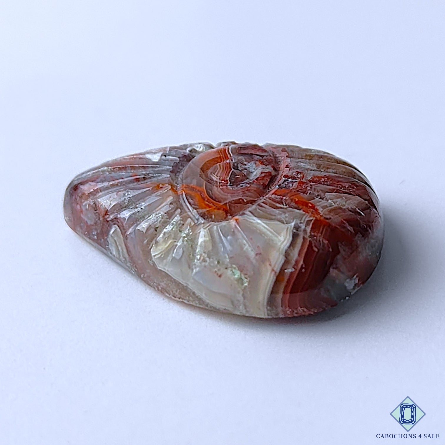 Crazy Lace Agate