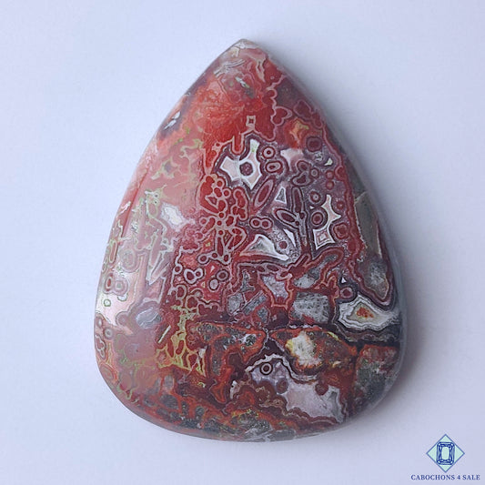 Crazy Lace Agate