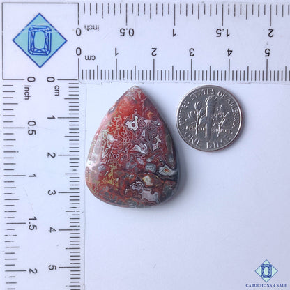 Crazy Lace Agate