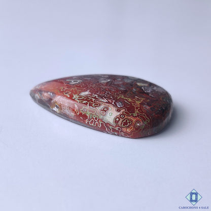 Crazy Lace Agate