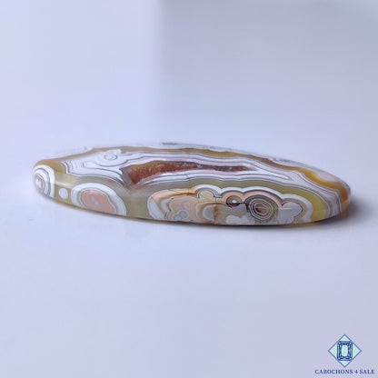Crazy Lace Agate