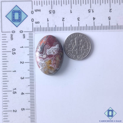 Crazy Lace Agate