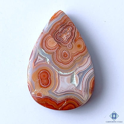Crazy Lace Agate