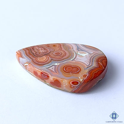 Crazy Lace Agate