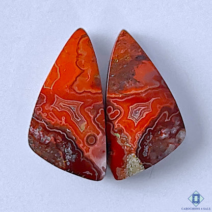 Crazy Lace Agate