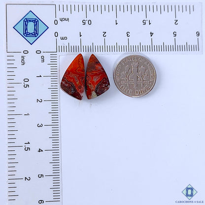 Crazy Lace Agate