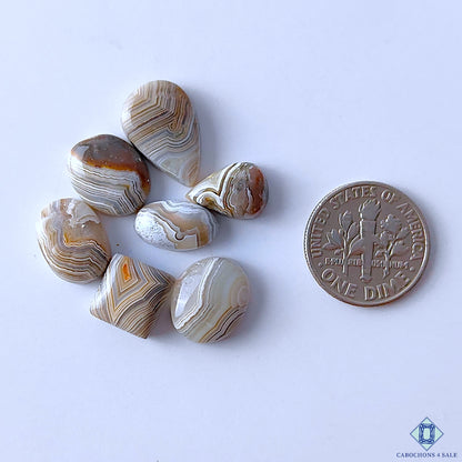 Crazy Lace Agate