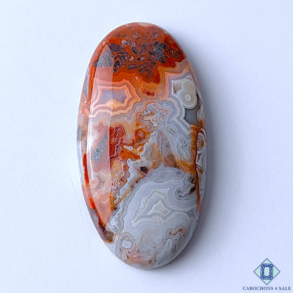 Crazy Lace Agate