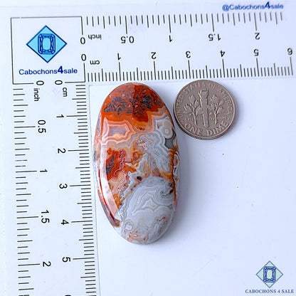 Crazy Lace Agate