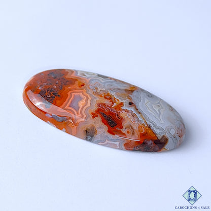 Crazy Lace Agate