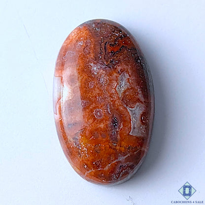 Crazy Lace Agate