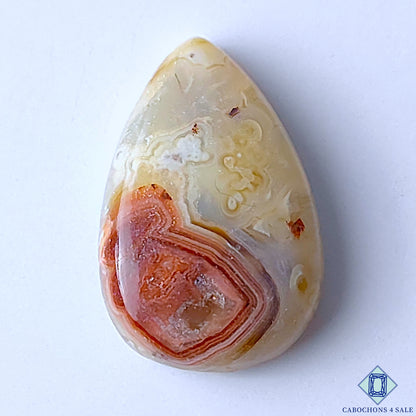 Crazy Lace Agate