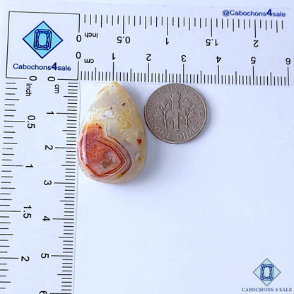 Crazy Lace Agate