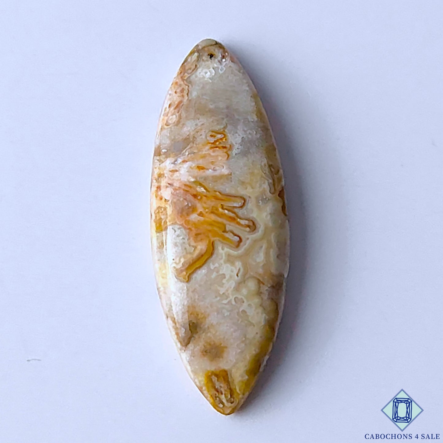 Crazy Lace Agate