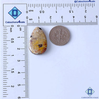 Crazy Lace Agate