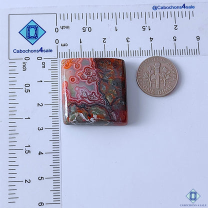 0-Crazy_Lace_Agate-C4sw23077-2-Fancy-Red-mm-Cabochons-Opaque-0

