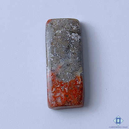 Crazy Lace Agate