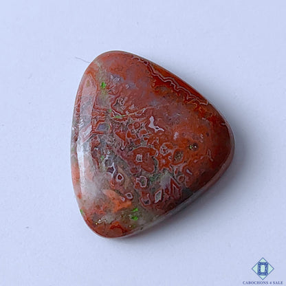 Crazy Lace Agate