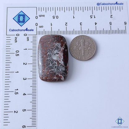 Crazy Lace Agate