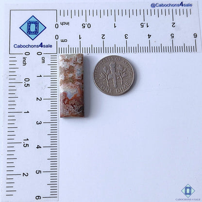 Crazy Lace Agate