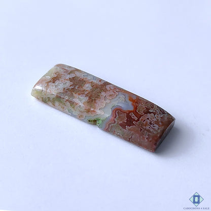 Crazy Lace Agate