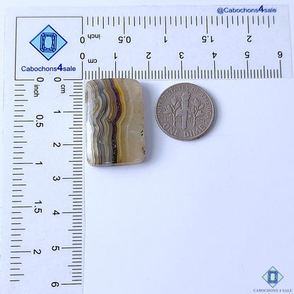 Crazy Lace Agate