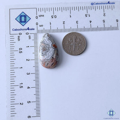 Crazy Lace Agate