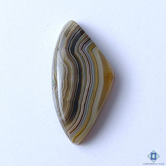 Crazy Lace Agate