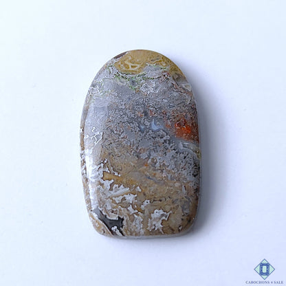 Crazy Lace Agate