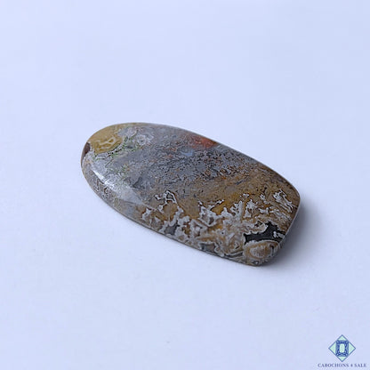 Crazy Lace Agate