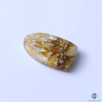 Crazy Lace Agate