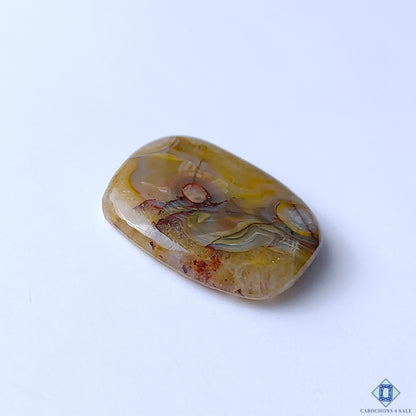 Crazy Lace Agate