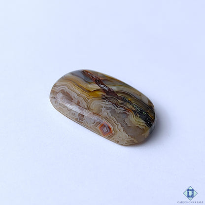 Crazy Lace Agate