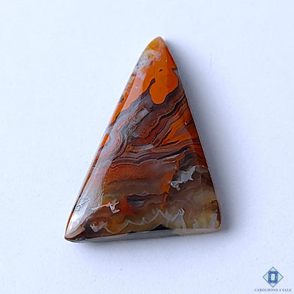 Crazy Lace Agate