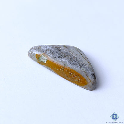Crazy Lace Agate