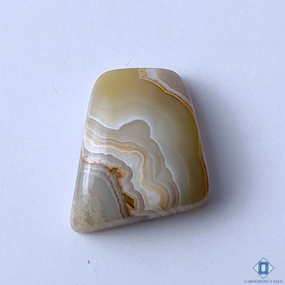 Crazy Lace Agate