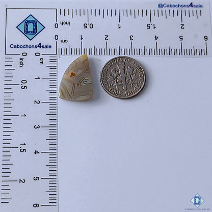 Crazy Lace Agate
