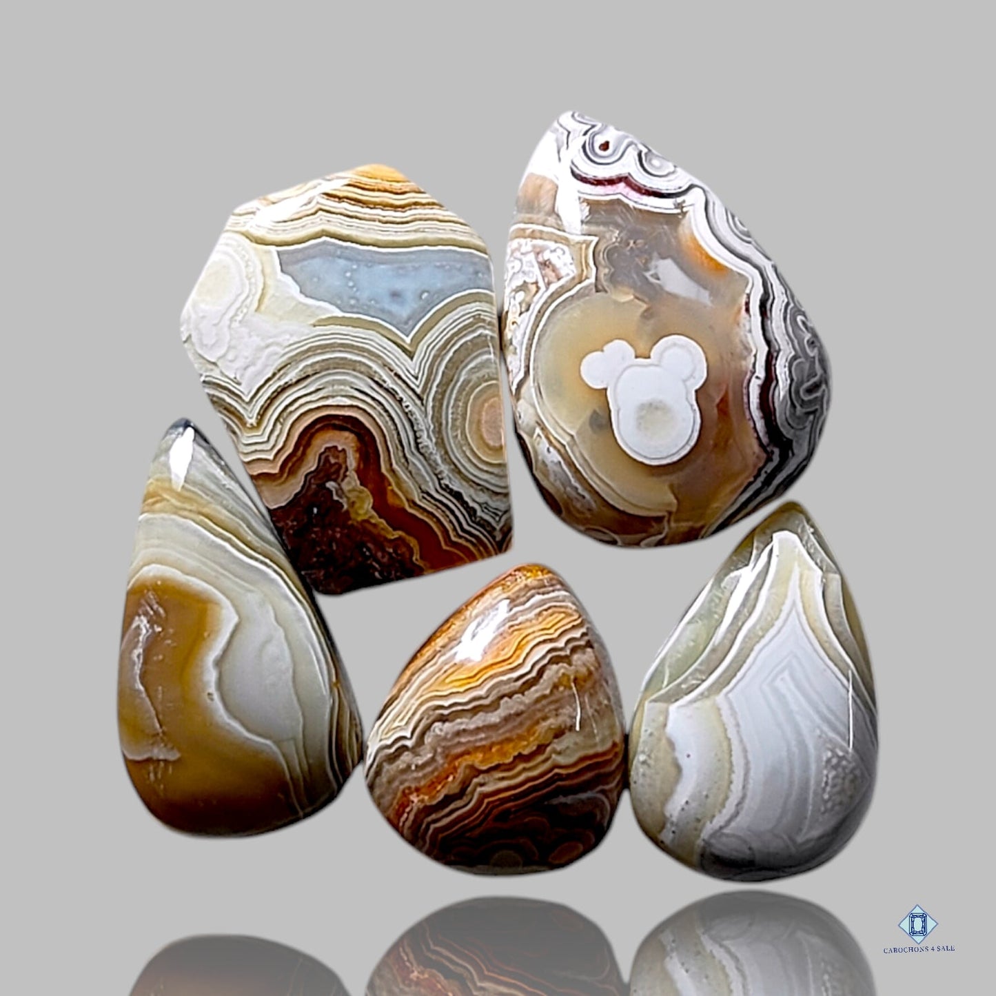 Crazy Lace Agate