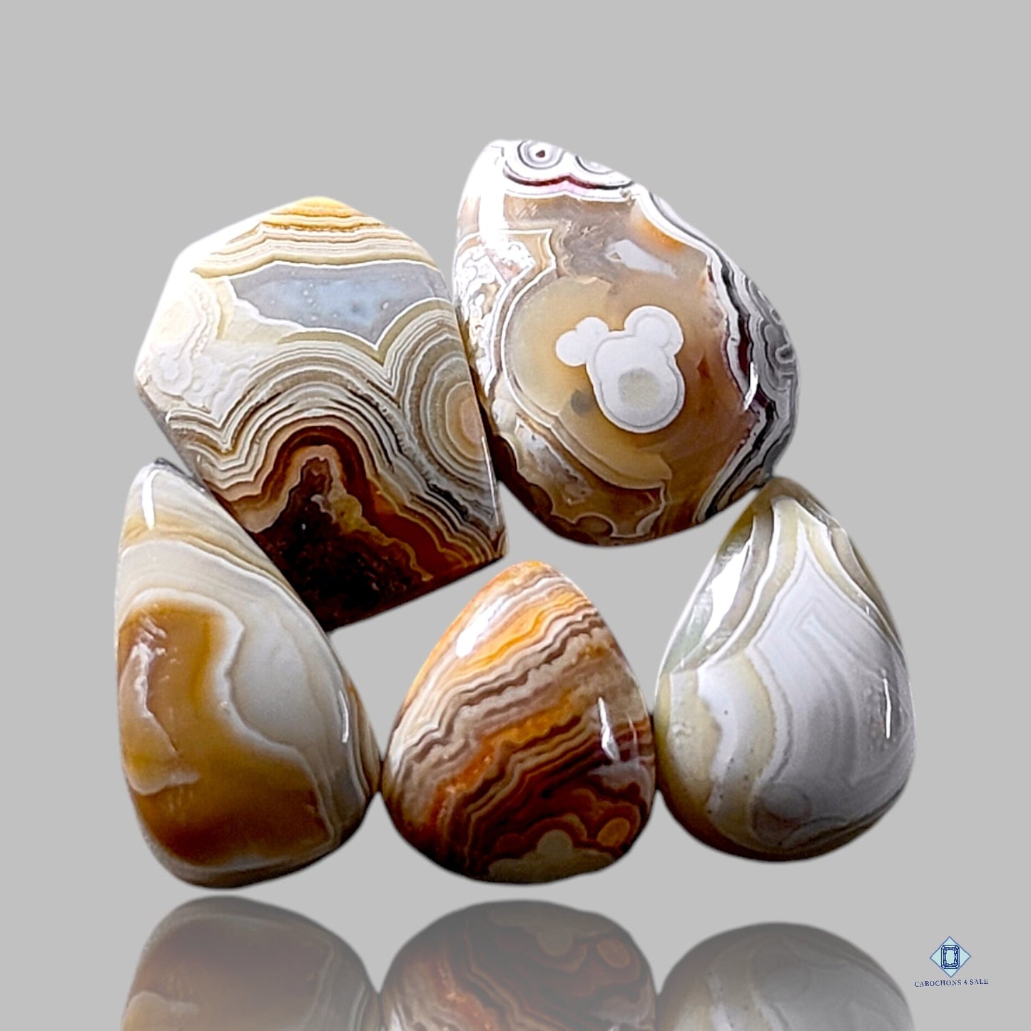 Crazy Lace Agate