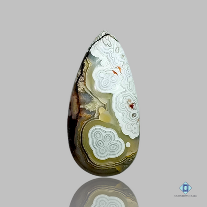 crazy Lace Agate